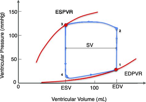 edpvr vs edv.